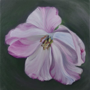 "Float", 12 x 12 inches, Oil on Canvas